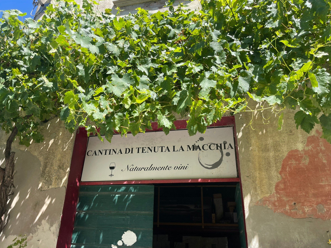 Tenuta La Macchia-Montescudaio必去景点
