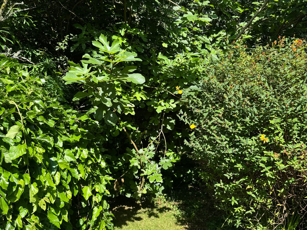 Kilmahon House Guest Accomodations主图