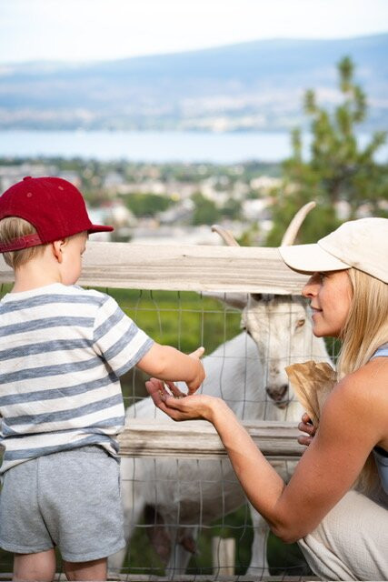 Off The Grid Organic Winery-西基隆拿必去景点