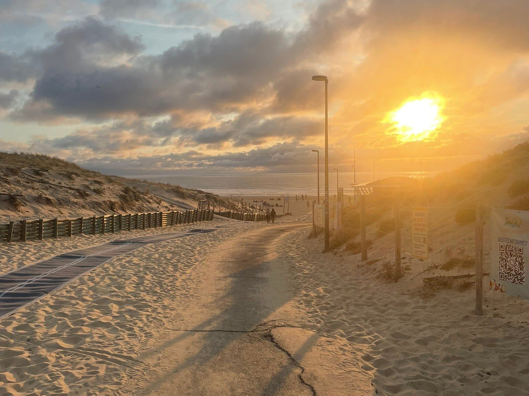 Plage de Moliets-Moliets et Maa必去景点