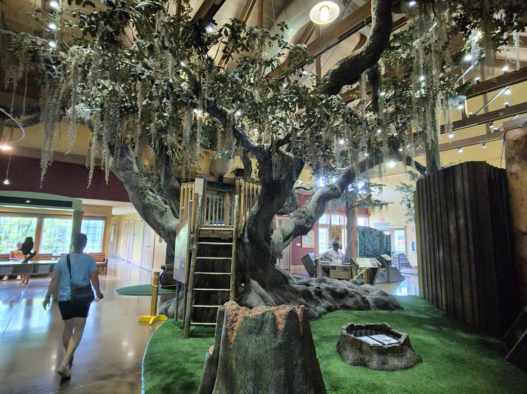 Circle B Bar Reserve-莱克兰必去景点