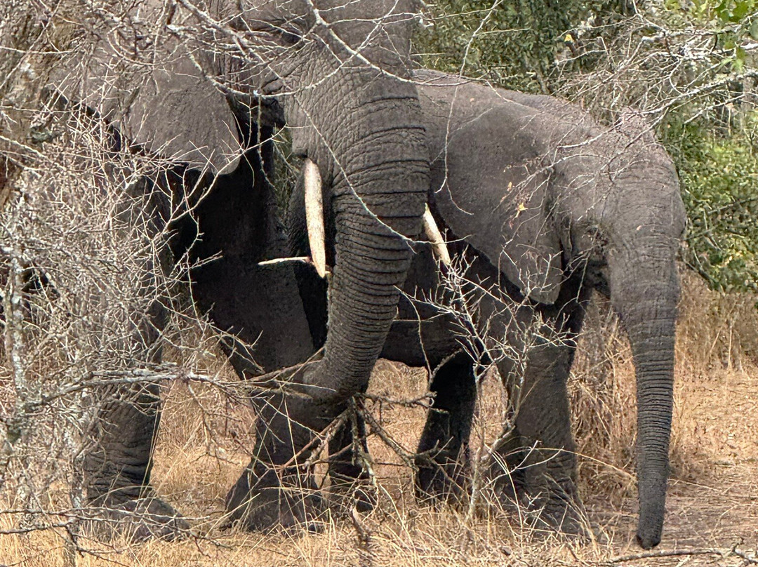 Explore RwandaTours-吉佳利必去景点