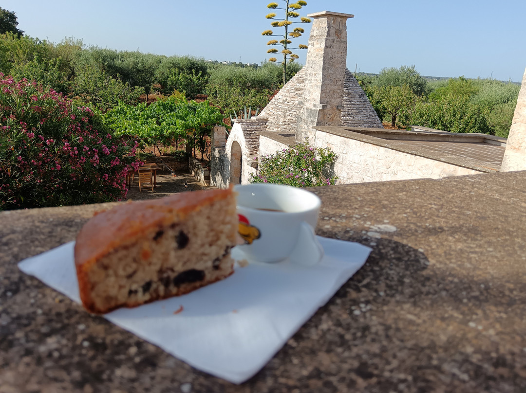 Il Trullo e il Fortino B&B主图