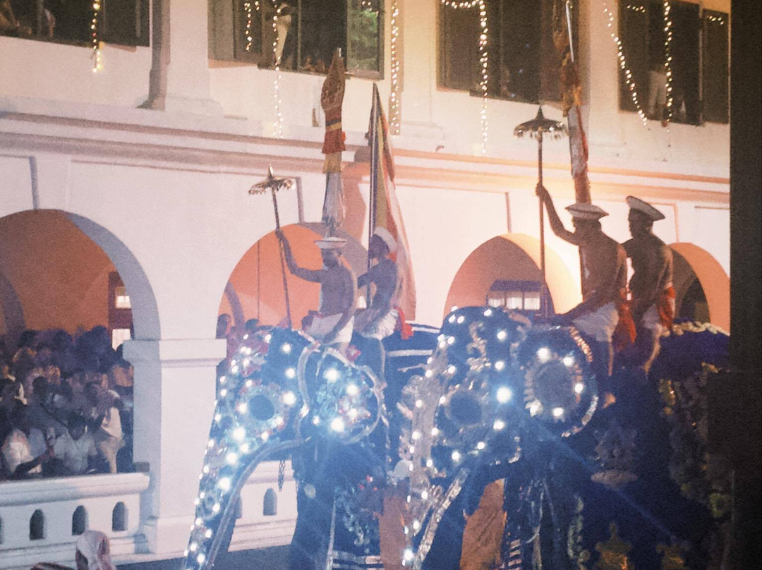 Omaari Lanka Tours-Dankotuwa必去景点