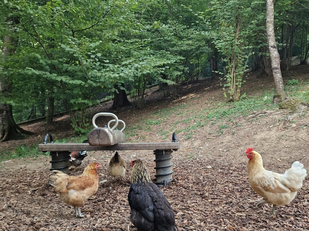 BELPARK- Parco Faunistico di Spormaggiore-Spormaggiore必去景点