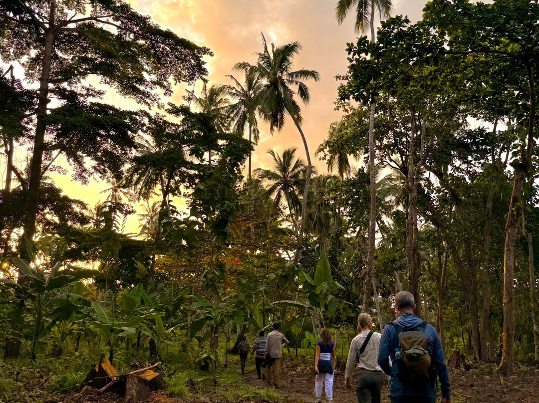 Pemba Tours-奔巴岛必去景点