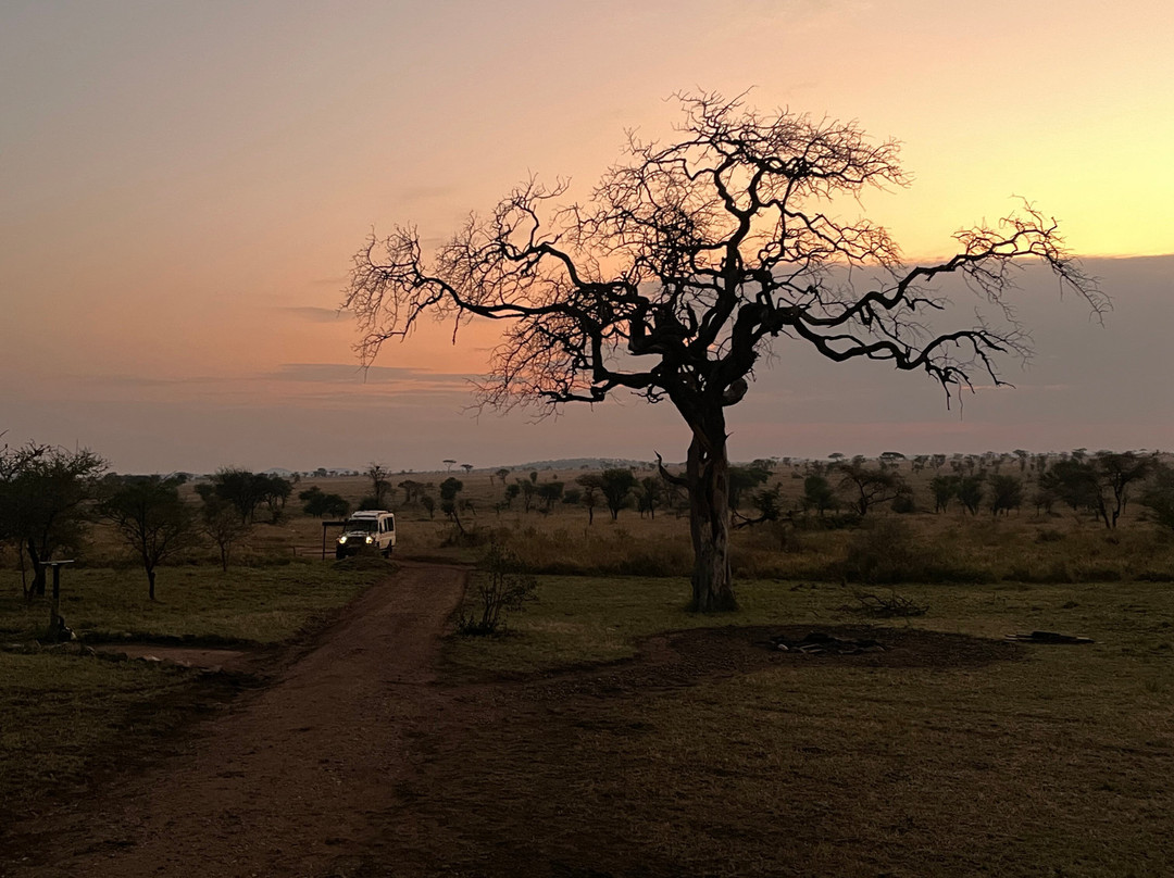 Karibu Safaris-Seefeld必去景点