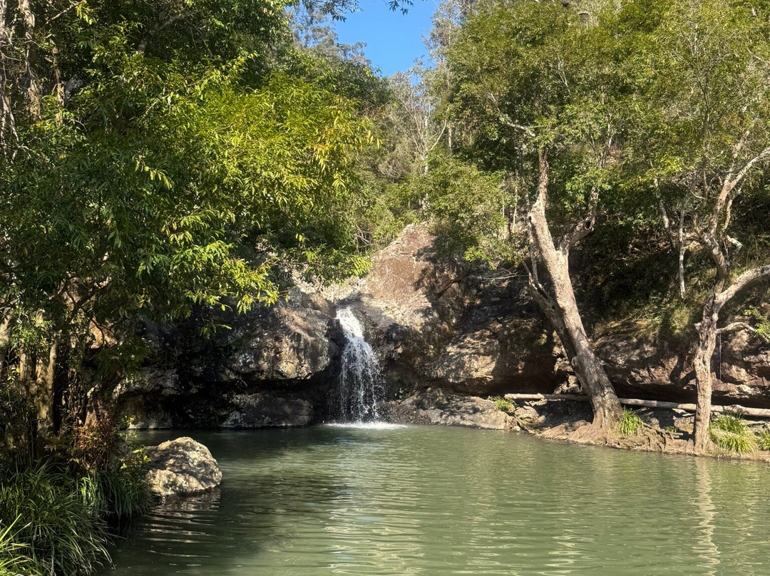 Kondalilla Falls-蒙特维尔必去景点