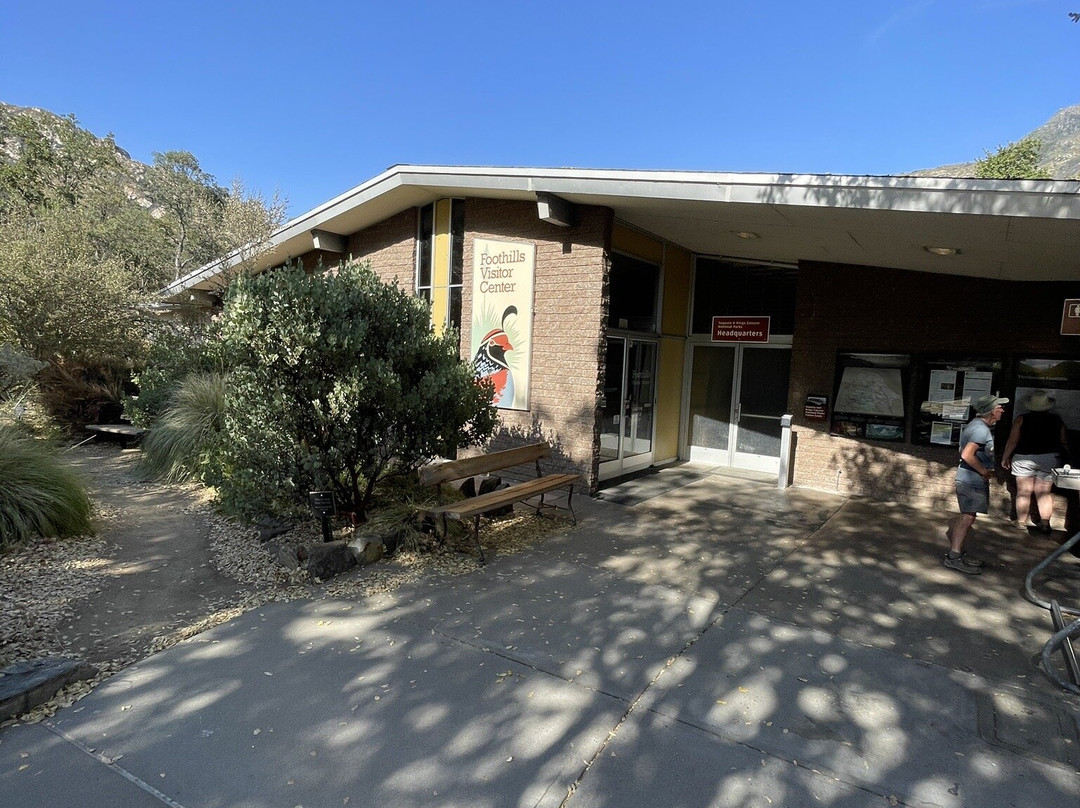 Sequoia National Park-维塞利亚必去景点