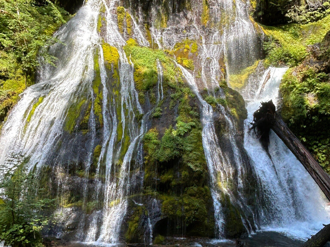 Rare Earth Adventures-波特兰必去景点