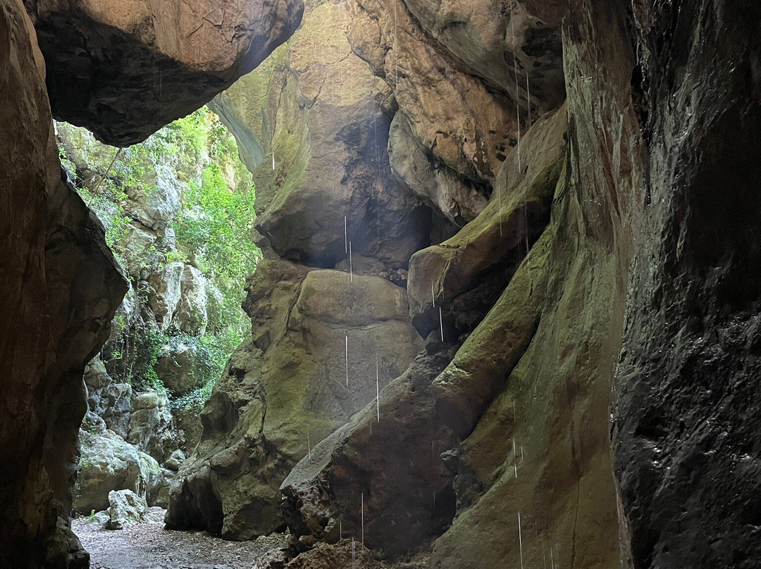 Parco Forra Del Tinazzo-Castro必去景点