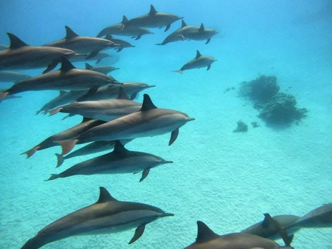 Freebird Travel-马萨阿拉姆必去景点