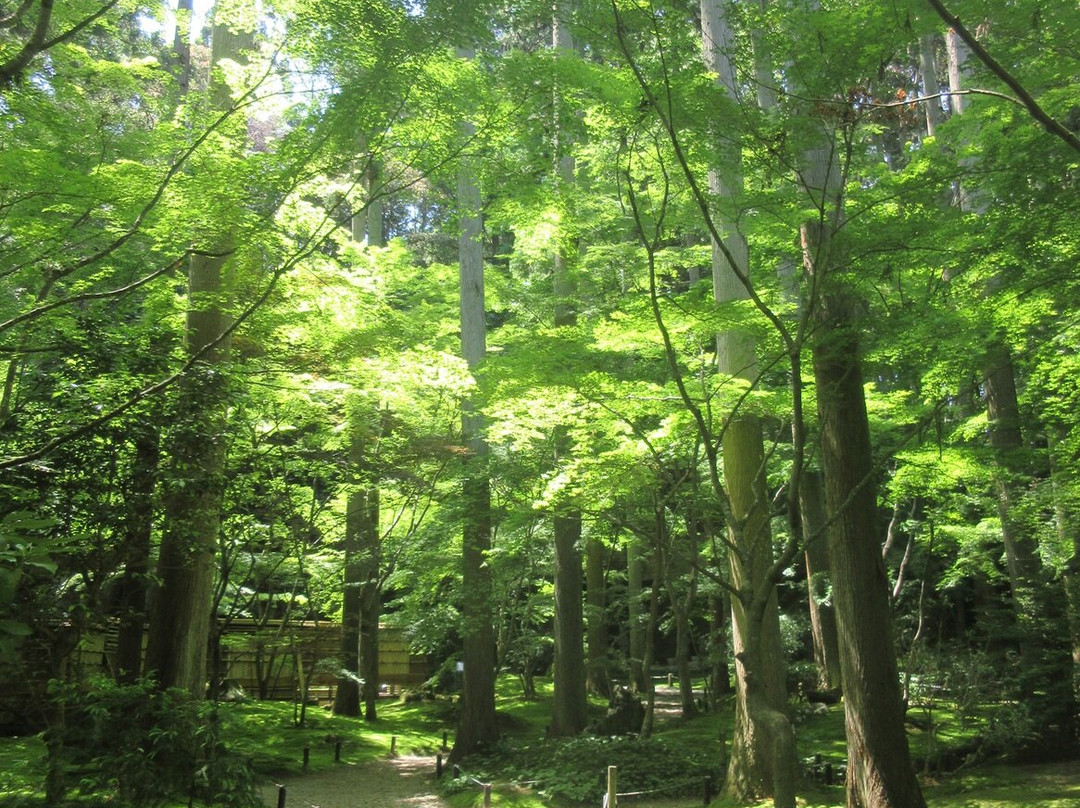 Entsu-in Temple-松岛町必去景点