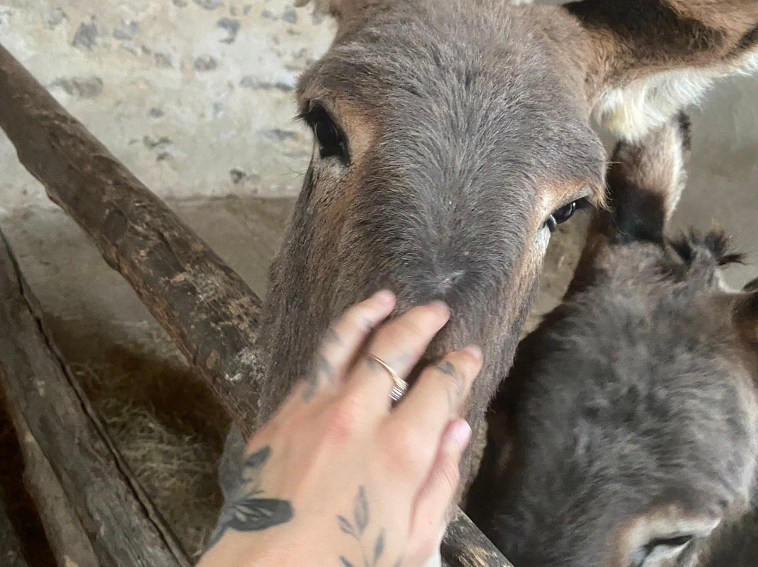 La Maison de l'Âne-Beauvoir-Sur-Mer必去景点