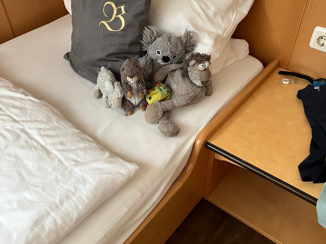 Böhmhof Wellness Und Vitalhotel主图