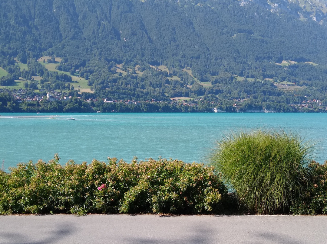 Seehotel Bonigen主图