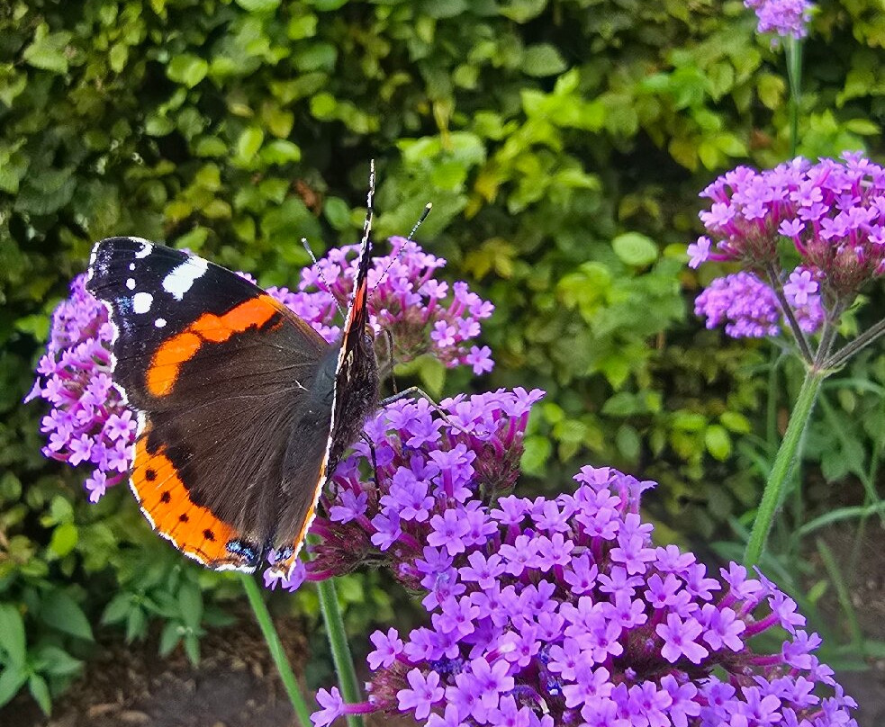 De Luie Tuinman-Ruinen必去景点