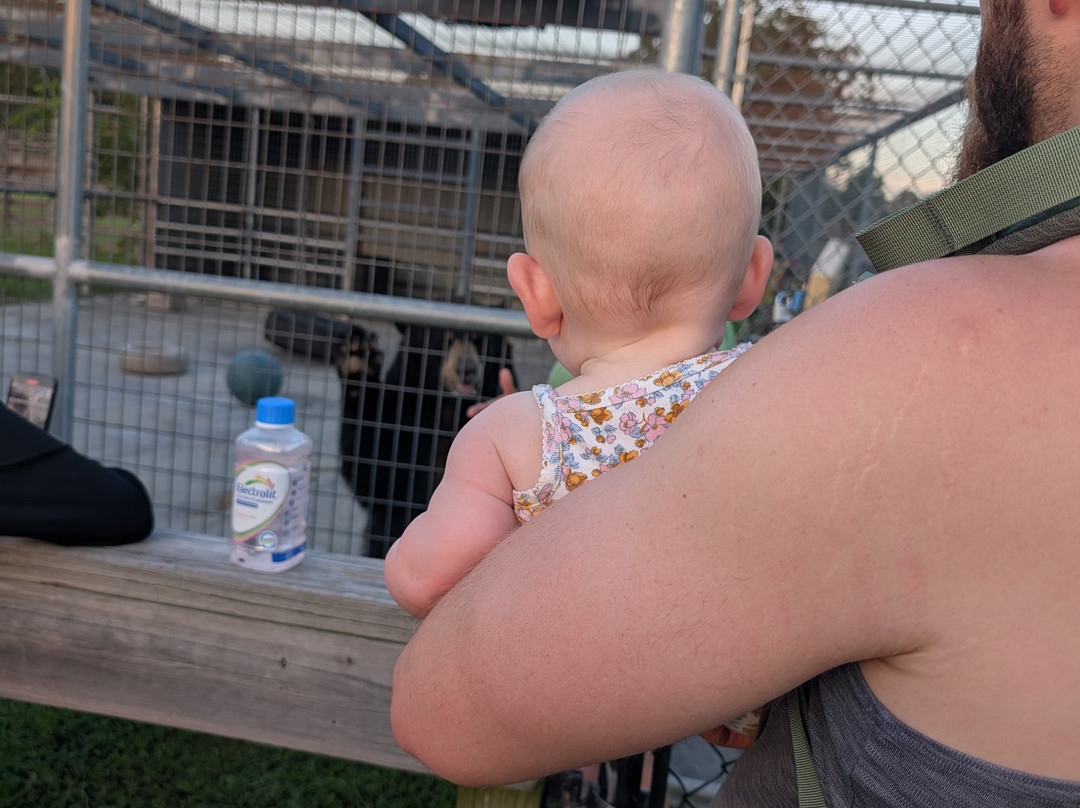 TGR Exotics Wildlife Park-斯普林必去景点