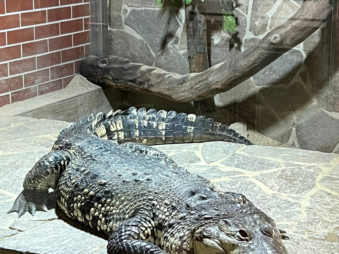 Krokodyli ZOO Protivin-Protivin必去景点
