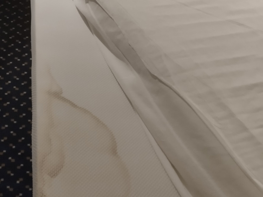 Brit Hotel Confort Foix主图