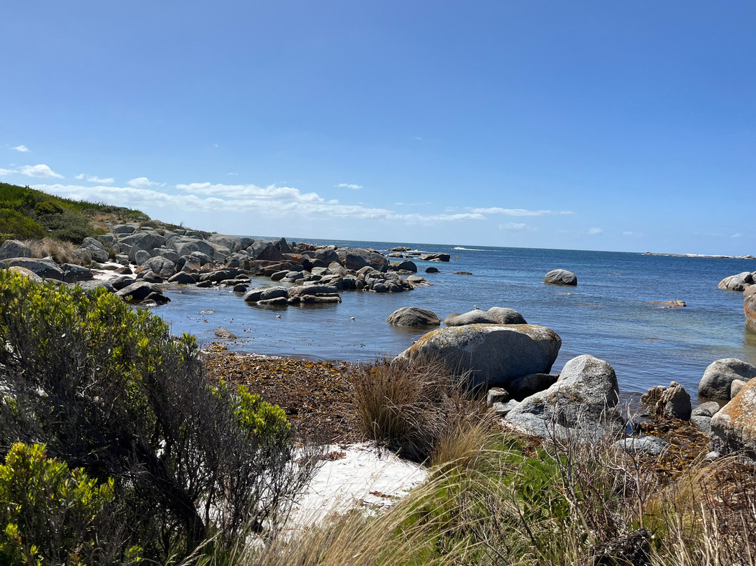 The Gardens-Binalong Bay必去景点