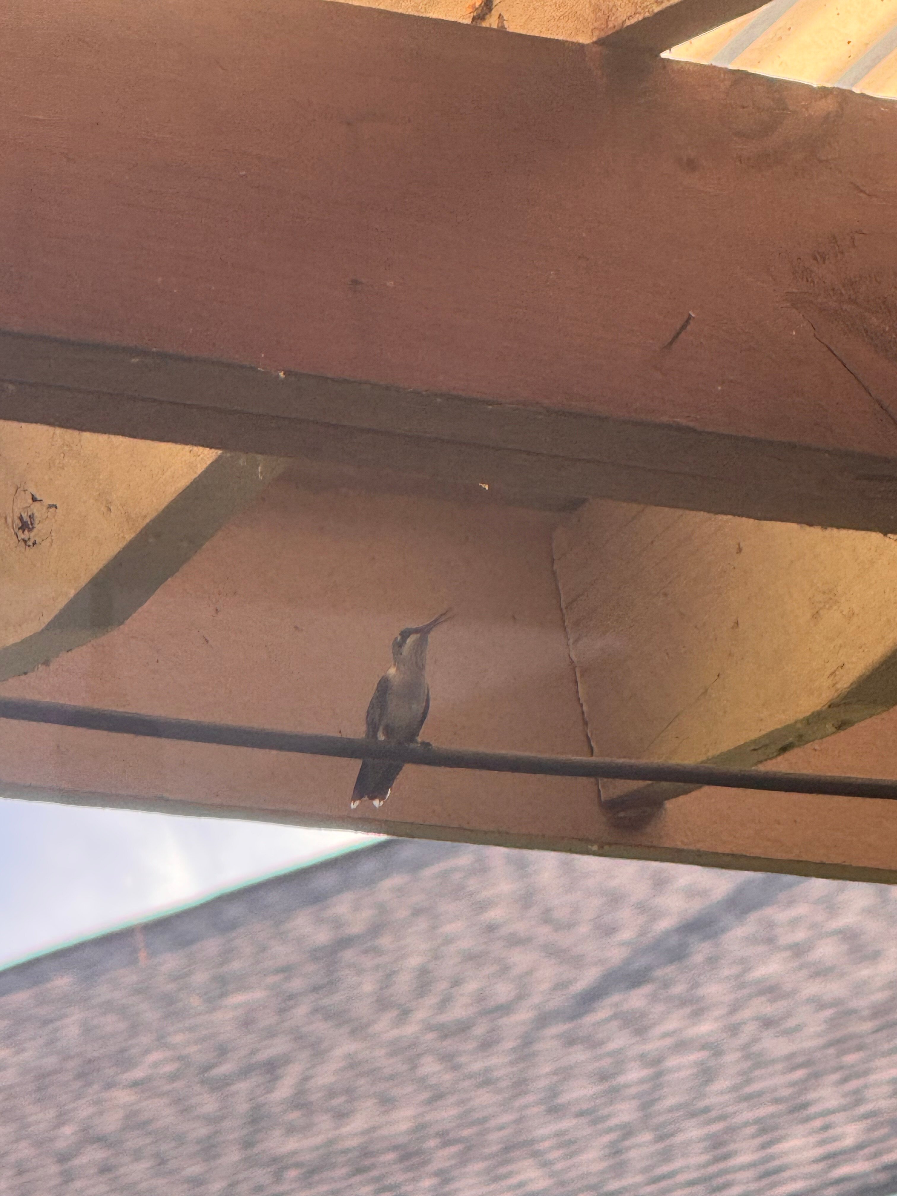 Southern Cross Ranch-浴室