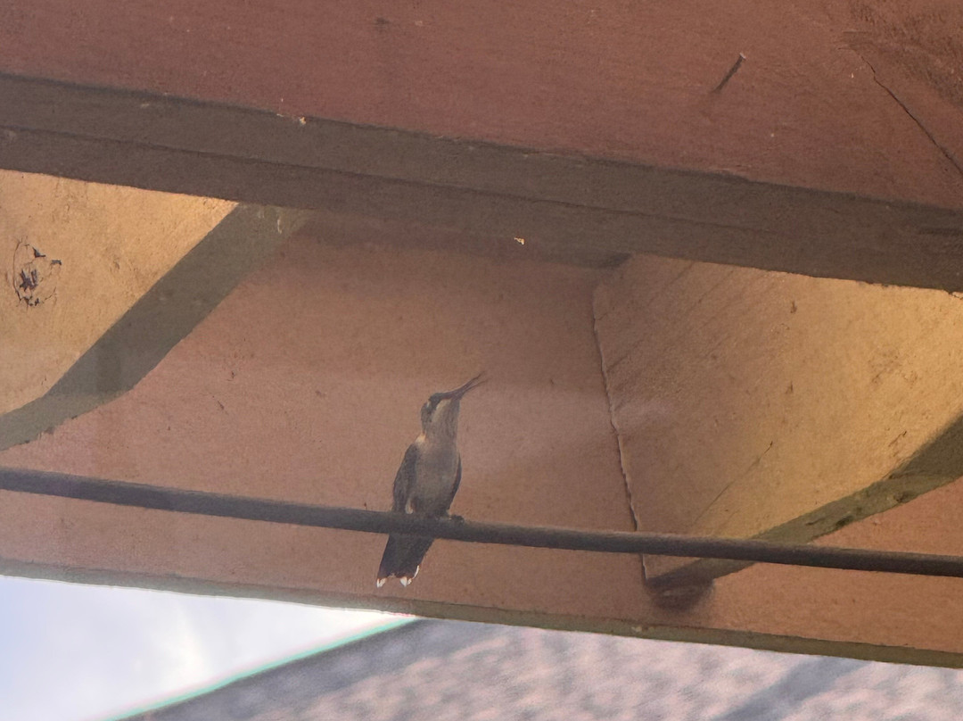 Southern Cross Ranch主图