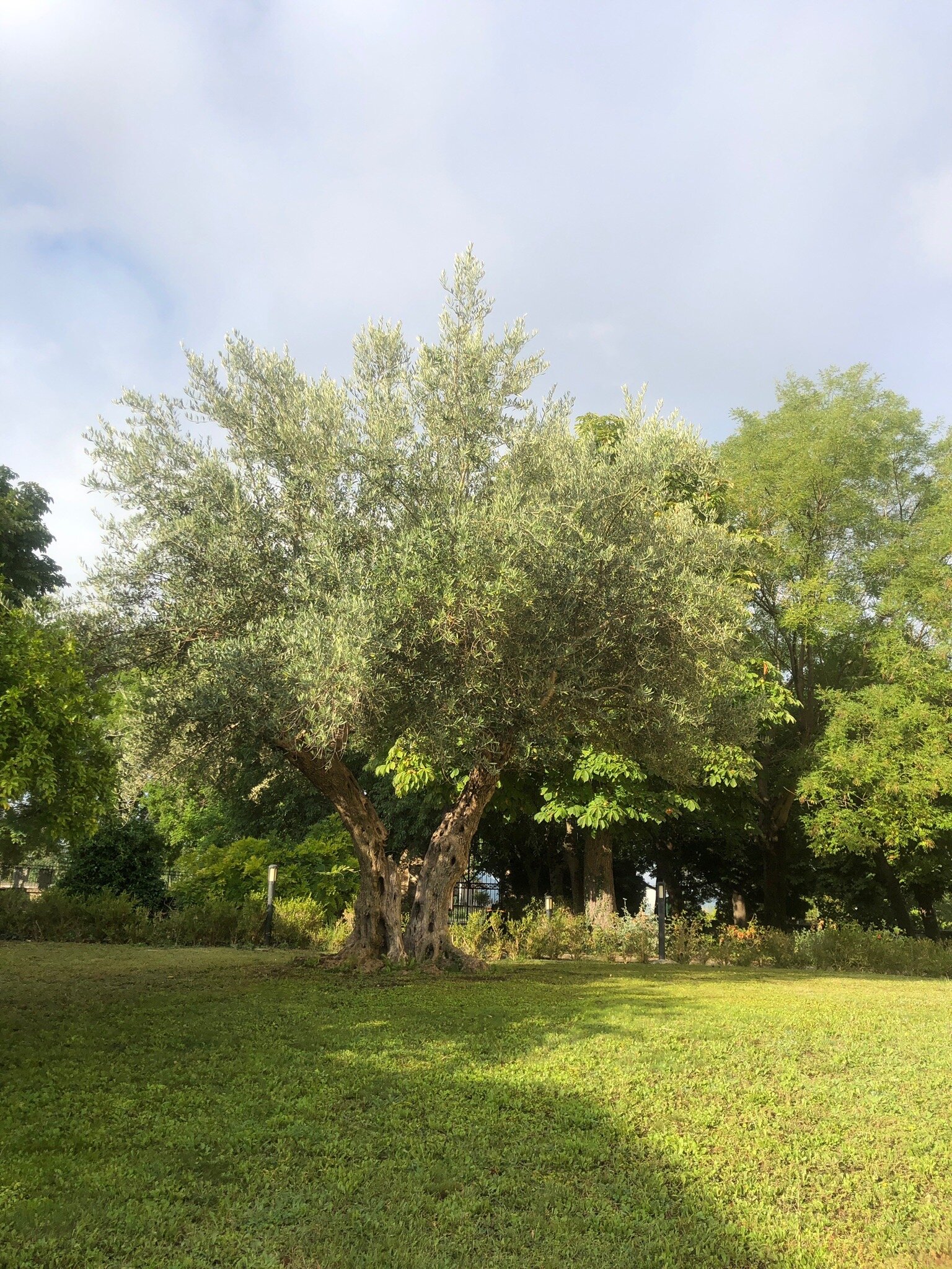 Villa Giovina-官方