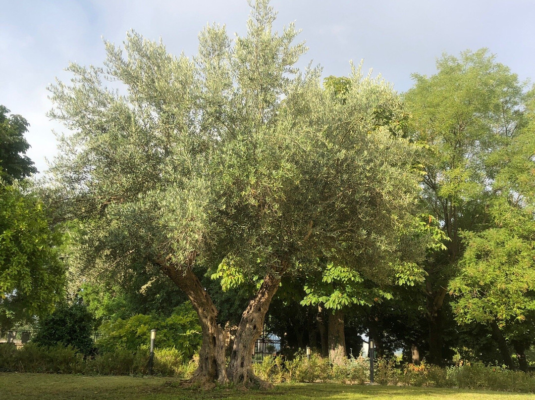 Villa Giovina主图