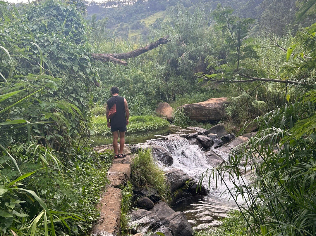 Amba Estate Farmstay主图