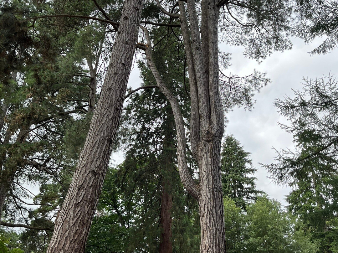 Arley Arboretum & Gardens-Upper Arley必去景点