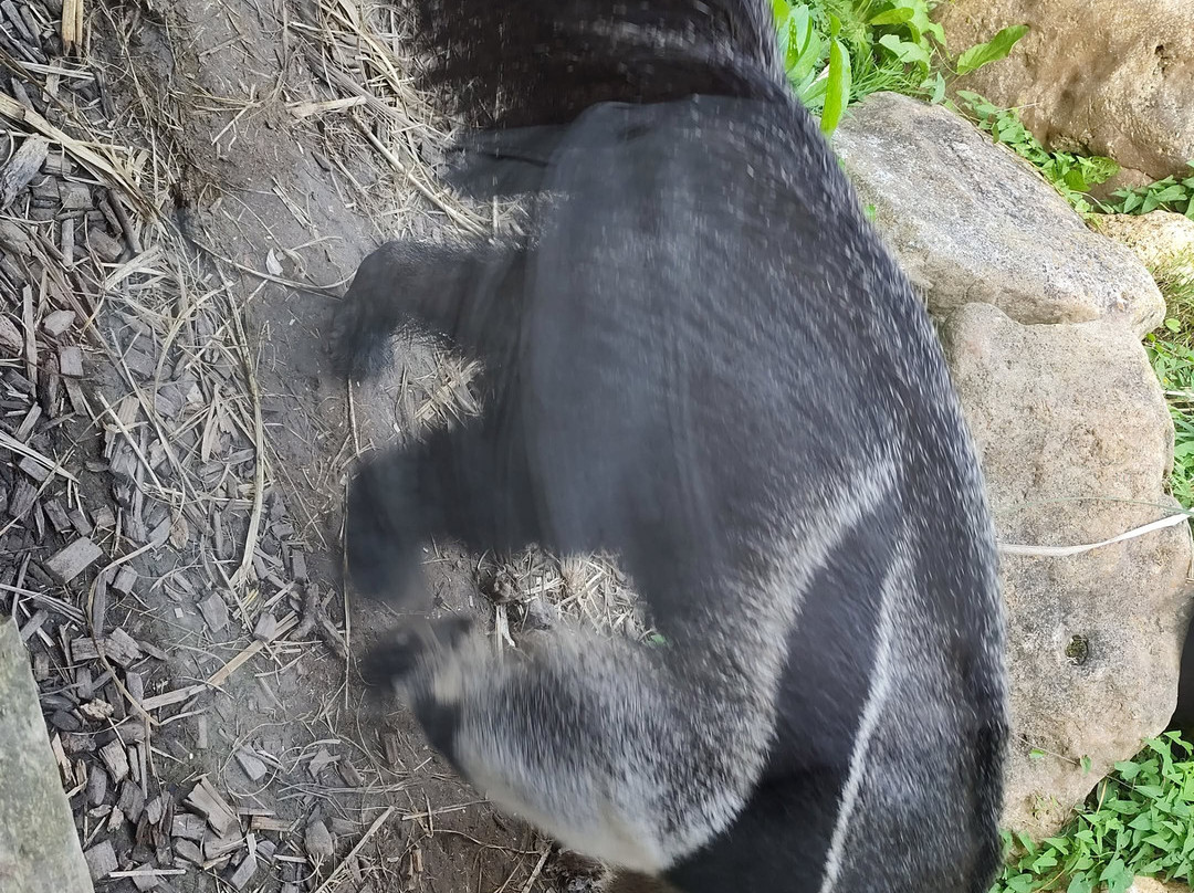 Les Jardins Animaliers Biotropica-Val de Reuil必去景点