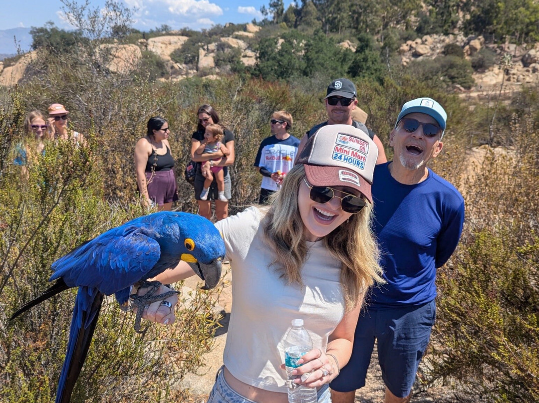 Avian Behavior International-埃斯孔迪多必去景点