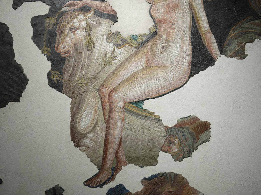 Museo Archeologico Nazionale di Aquileia-阿奎拉必去景点