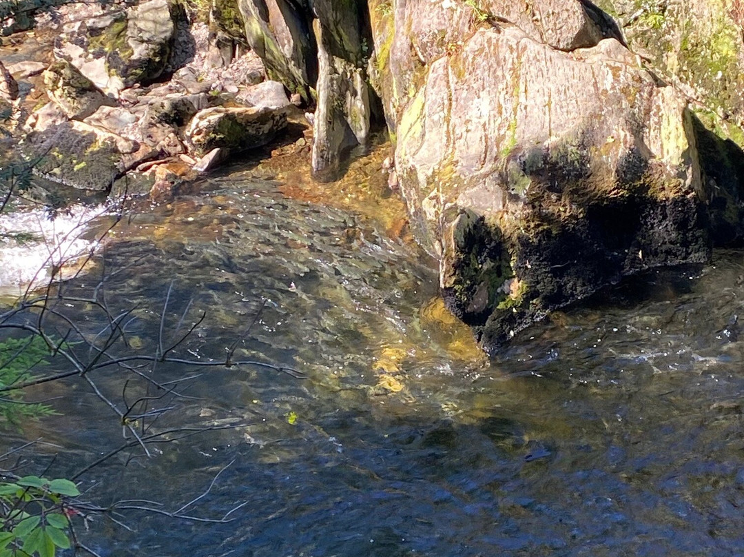 Creek Street-凯奇坎必去景点