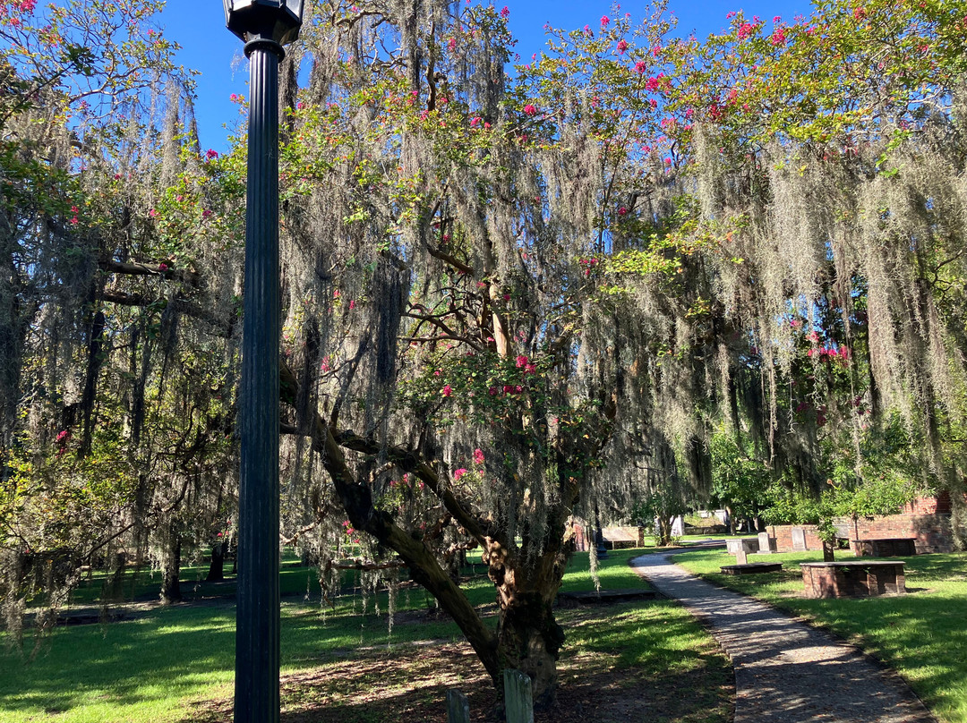 Colonial Park Cemetery-萨凡纳必去景点
