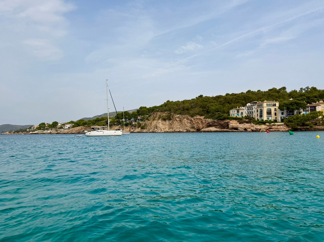 Boat Tours - Vela Mayorca-马洛卡帕尔马必去景点