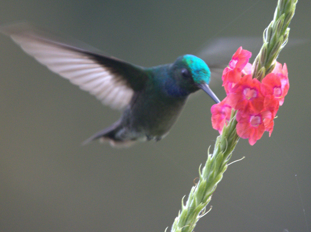 St Costa Rica-Gulf of Papagayo必去景点