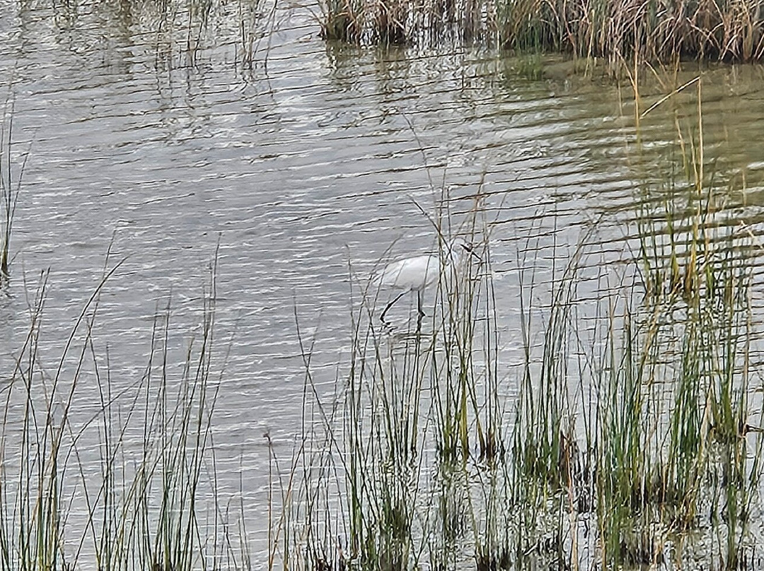 Vransko Jezero Nature Park-奥格勒纳莫鲁必去景点
