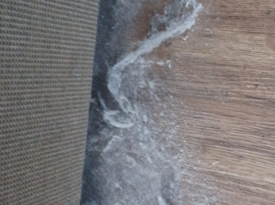 The New Gower Hotel主图