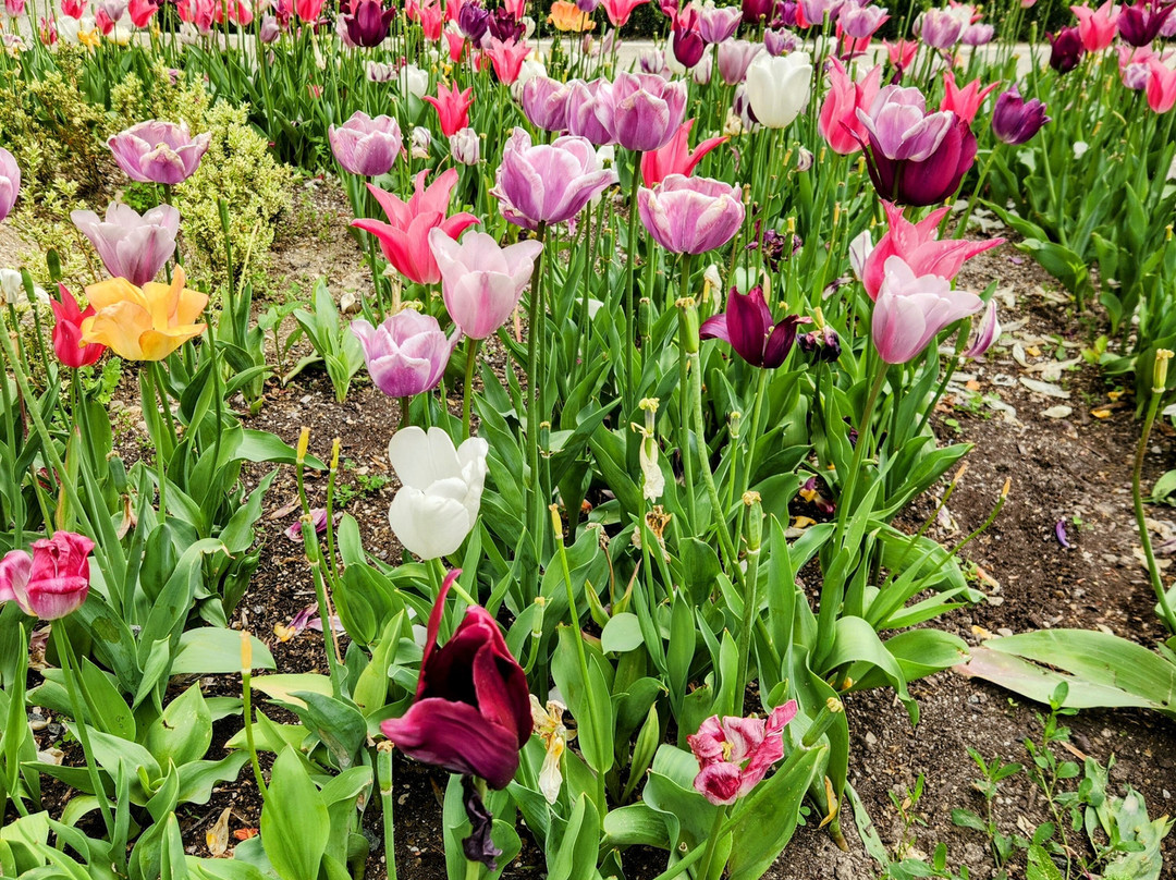 Parque de La Taconera-潘普洛纳必去景点