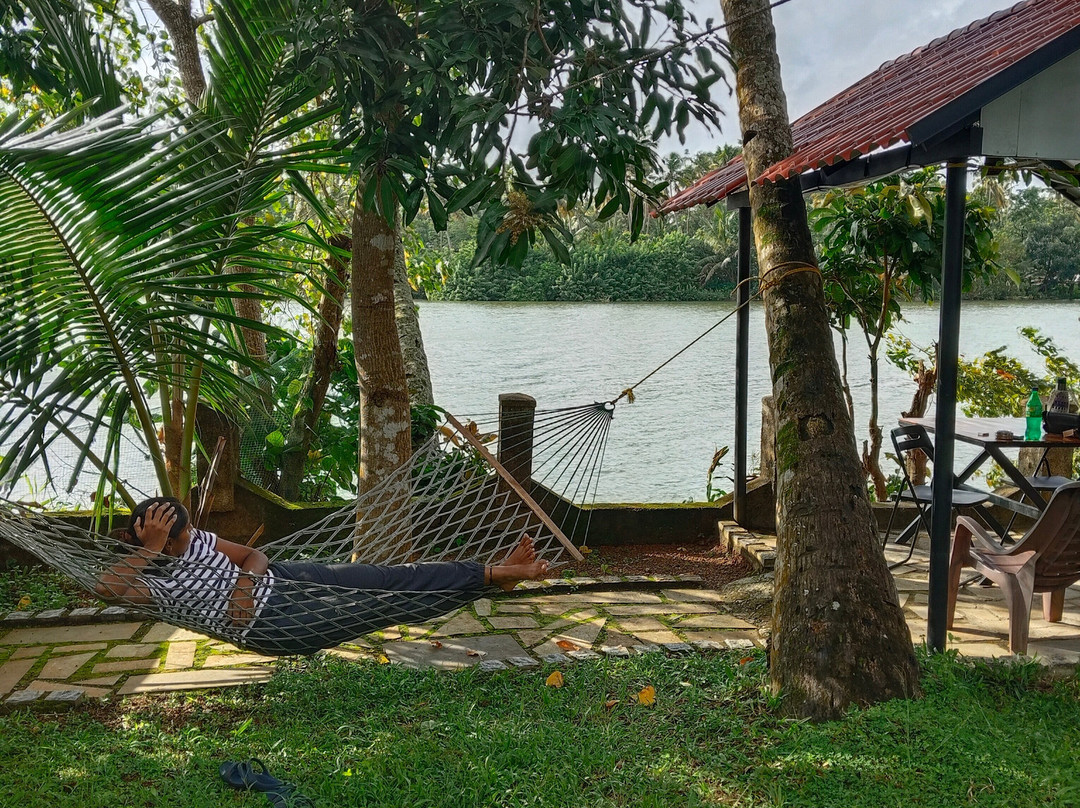 Green Chromide River View Wooden House主图