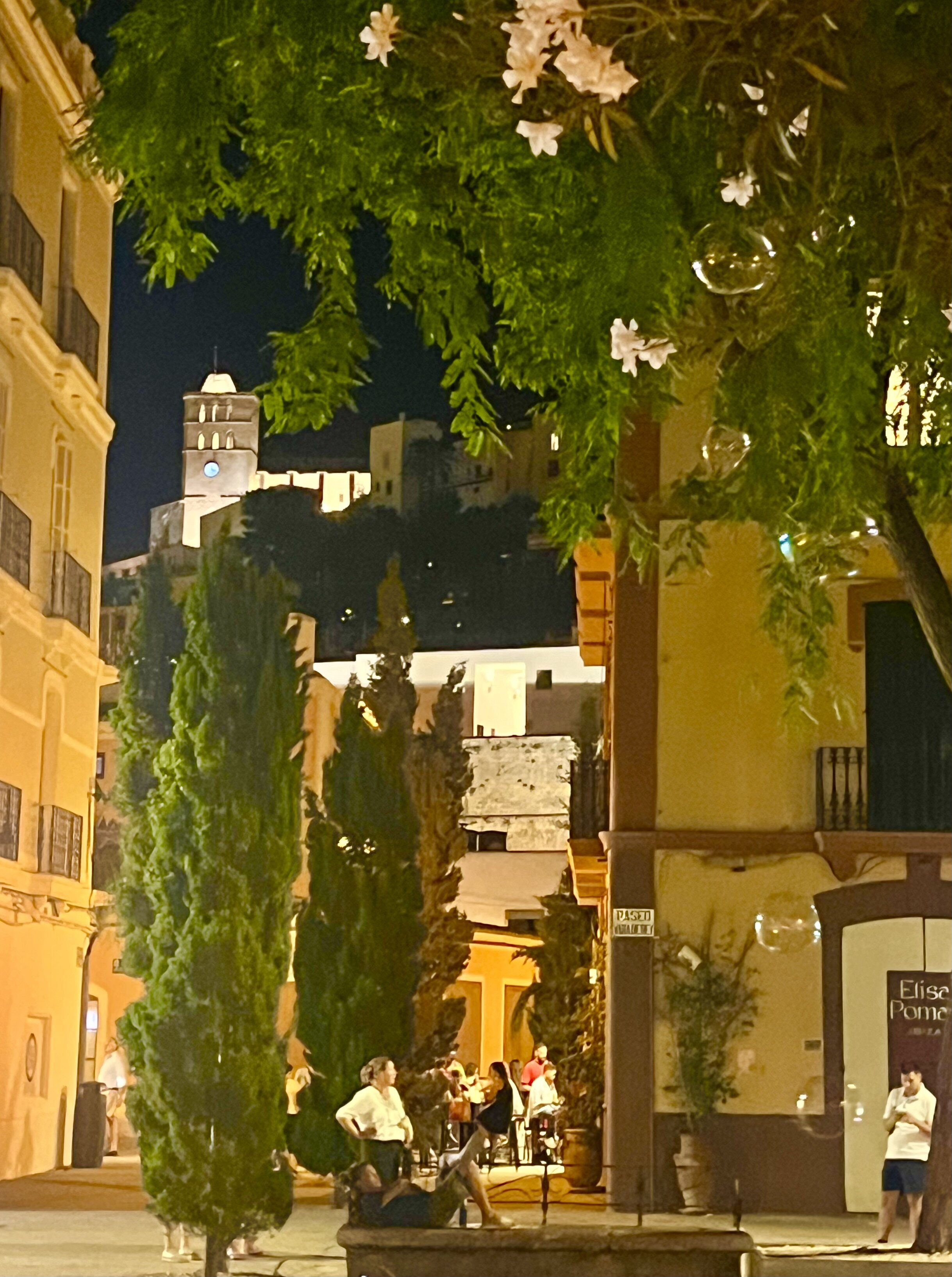 卡诺尼戈之塔酒店-官方