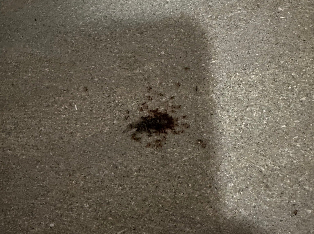 Palazzo Sciacca主图