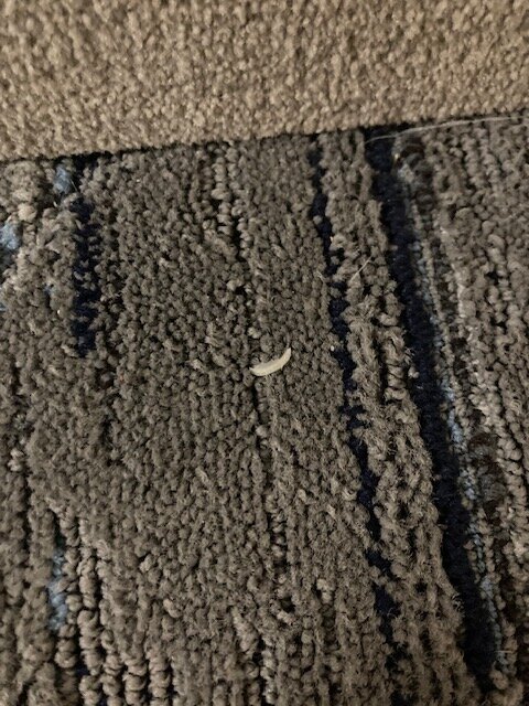 Holiday Inn Express & Suites Chambersburg By IHG-官方