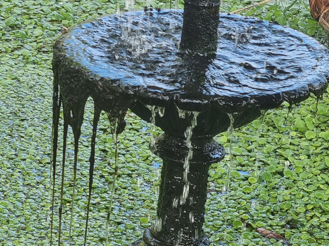 Noi Blend Colchagua主图