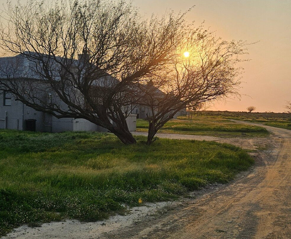 L'Ermitage Quagga Lodge主图