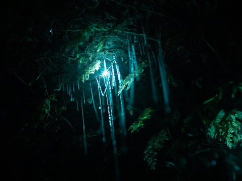 Taiao Adventures-罗托鲁瓦必去景点