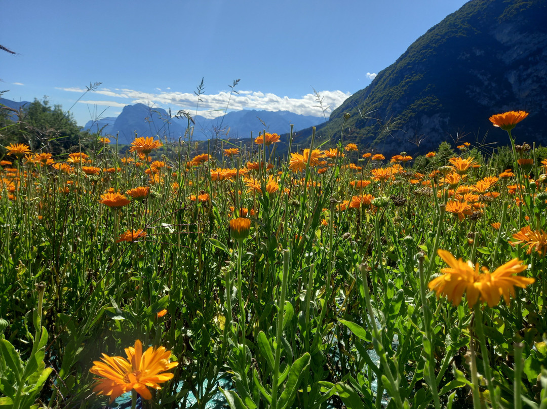 Azienda Agricola & Agriturismo Il Ritorno-San Lorenzo Dorsino必去景点