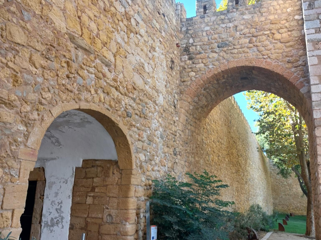 Governor's Castle (Castelo dos Governadores)-拉各斯必去景点